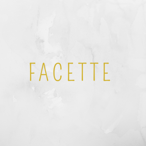 Logo Studio Facette